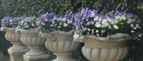 Gardenalia Open Garden And Rare Plant Nursery - Attractions Perth 0
