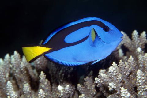 Cairns Marine - Attractions Perth 2
