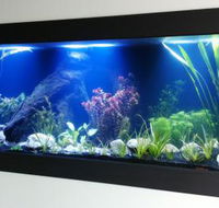 Aquariums in Cairns - Attractions Perth