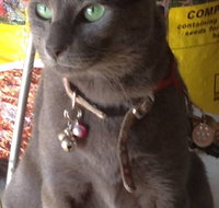 Pets and Saddles - Attractions Perth