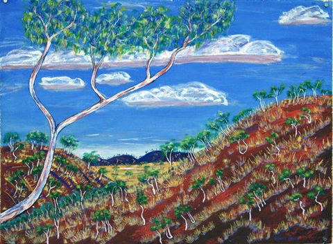 Gallery 48 - Attractions Perth 2
