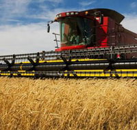 Quirindi Grain and produce - Attractions Perth