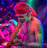 Didgeridoo Jam In The Park - Attractions Perth 1