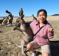 Batemans Bay Full-Day Tour from Canberra Including Indigenous Experience - Attractions Perth