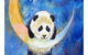 Panda Moon - Statesman Hotel 7.00-9.00pm - thumb 0