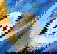 Panda Moon - Statesman Hotel 7.00-9.00pm - Attractions Perth