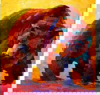 Grizzly Bear - Boardwalk Bar 3.00-5.00pm - Attractions Perth