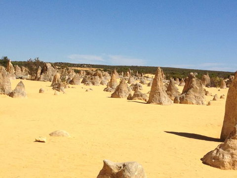 Pinnacles Desert, Koalas And Sandboarding 4WD Day Tour From Perth - Attractions Perth 15