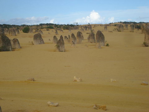 Pinnacles Desert, Koalas And Sandboarding 4WD Day Tour From Perth - Attractions Perth 23