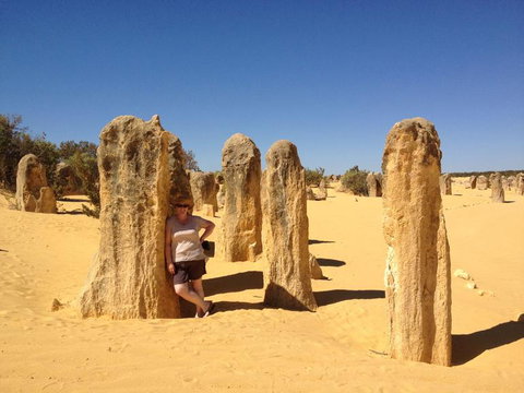 Pinnacles Desert, Koalas And Sandboarding 4WD Day Tour From Perth - Attractions Perth 17