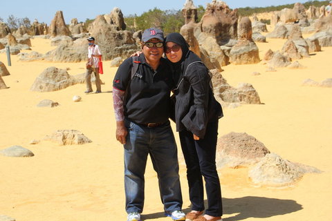 Pinnacles Desert, Koalas And Sandboarding 4WD Day Tour From Perth - Attractions Perth 12