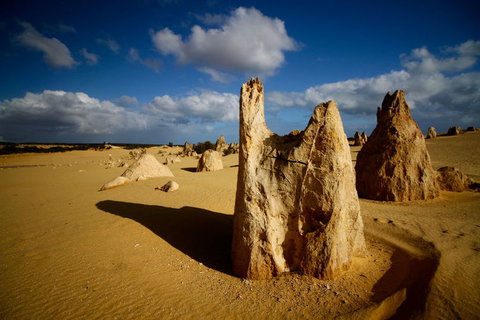 Pinnacles Desert, Koalas And Sandboarding 4WD Day Tour From Perth - Attractions Perth 6