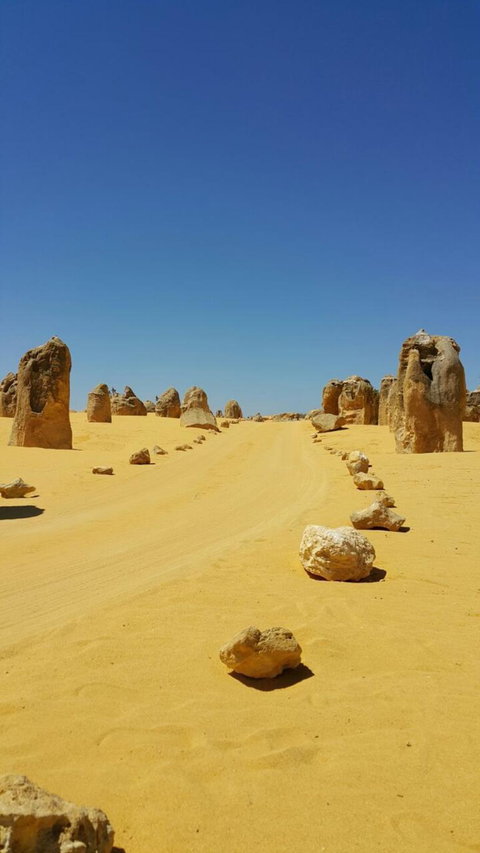Pinnacles Desert, Koalas And Sandboarding 4WD Day Tour From Perth - Attractions Perth 3