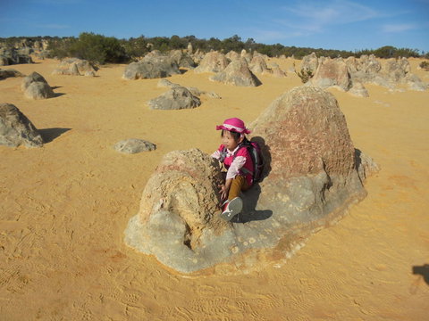 Pinnacles Desert, Koalas And Sandboarding 4WD Day Tour From Perth - Attractions Perth 7
