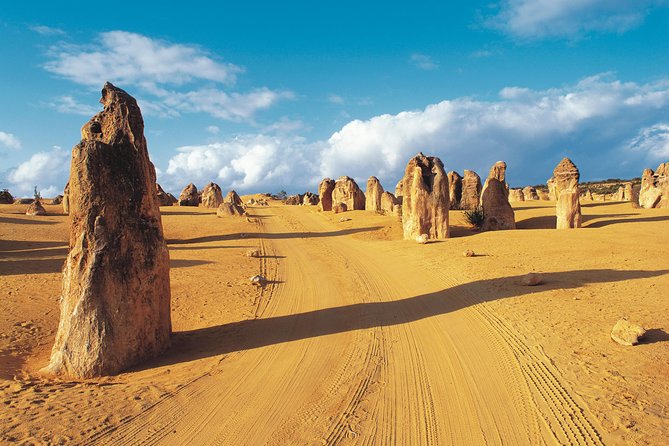 Pinnacles Desert Koalas and Sandboarding 4WD Day Tour from Perth Perth