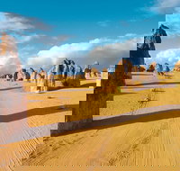 Pinnacles Desert Koalas and Sandboarding 4WD Day Tour from Perth - Attractions Perth