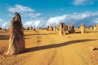 Pinnacles Desert Koalas and Sandboarding 4WD Day Tour from Perth