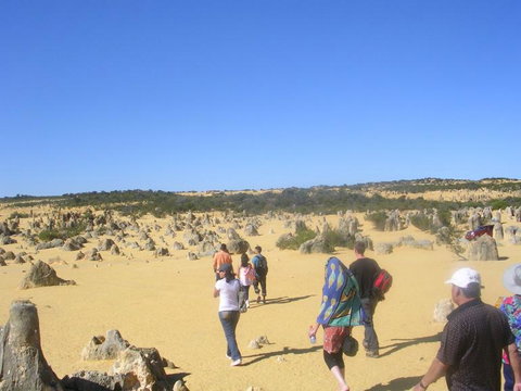 Pinnacles Desert, Koalas And Sandboarding 4WD Day Tour From Perth - Attractions Perth 25