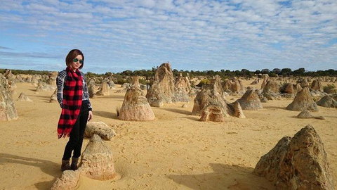 Pinnacles Desert, Koalas And Sandboarding 4WD Day Tour From Perth - Attractions Perth 13