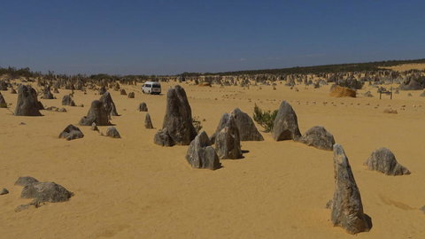 Pinnacles Desert, Koalas And Sandboarding 4WD Day Tour From Perth - Attractions Perth 4