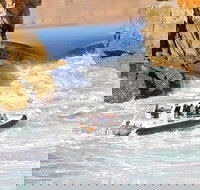 Horizontal Falls Half-Day Tour from Broome - Attractions Perth