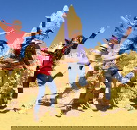 Pinnacles and Swan Valley Day Trip from Perth Including Caversham Wildlife Park Vineyard Lunch Pinnacles and Sandboarding - Attractions Perth