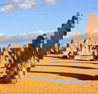 Pinnacles and Yanchep National Park Day Trip from Perth Including Lobster Shack Lunch and Sandboarding - Attractions Perth