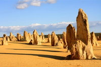 Pinnacles and Yanchep National Park Day Trip from Perth Including Lobster Shack Lunch and Sandboarding