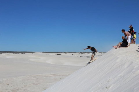 Pinnacles And Yanchep National Park Day Trip From Perth Including Lobster Shack Lunch And Sandboarding - Attractions Perth 4