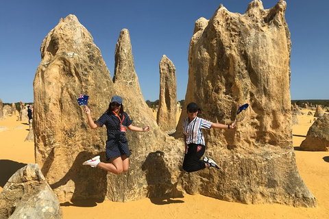 Pinnacles And Yanchep National Park Day Trip From Perth Including Lobster Shack Lunch And Sandboarding - Attractions Perth 2