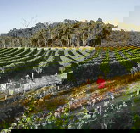Margaret River Caves Wine and Cape Leeuwin Lighthouse Tour from Perth - Attractions Perth