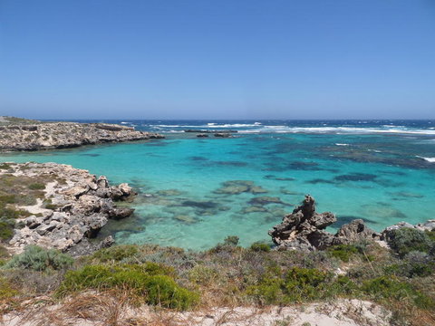 Rottnest Island Tour From Perth Or Fremantle Including Adventure Speed Boat Ride - Attractions Perth 3