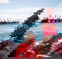 Rottnest Island Tour from Perth or Fremantle including Adventure Speed Boat Ride - Attractions Perth