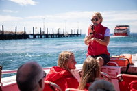 Rottnest Island Tour from Perth or Fremantle including Adventure Speed Boat Ride