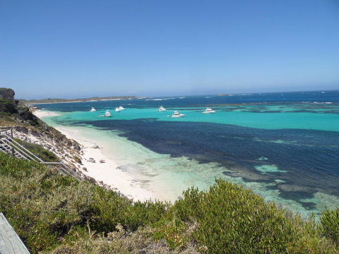 Rottnest Island Tour From Perth Or Fremantle Including Adventure Speed Boat Ride - Attractions Perth 2