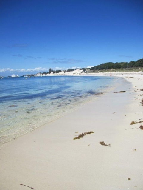 Rottnest Island Tour From Perth Or Fremantle Including Adventure Speed Boat Ride - Attractions Perth 4