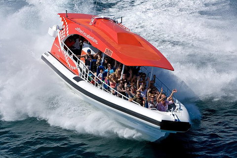 Rottnest Island Tour From Perth Or Fremantle Including Adventure Speed Boat Ride - Attractions Perth 11