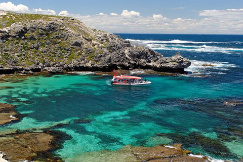 Rottnest Island Tour From Perth Or Fremantle Including Adventure Speed Boat Ride - Attractions Perth 10