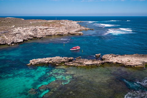 Rottnest Island Tour From Perth Or Fremantle Including Adventure Speed Boat Ride - Attractions Perth 13