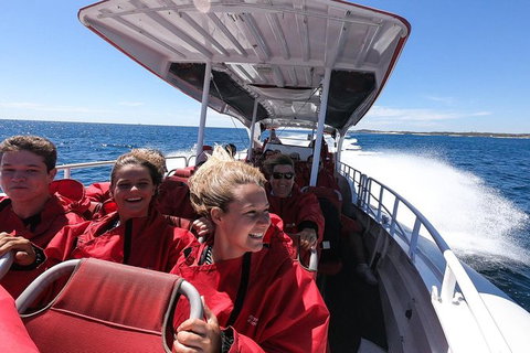 Rottnest Island Tour From Perth Or Fremantle Including Adventure Speed Boat Ride - Attractions Perth 8