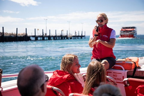 Rottnest Island Tour From Perth Or Fremantle Including Adventure Speed Boat Ride - Attractions Perth 12