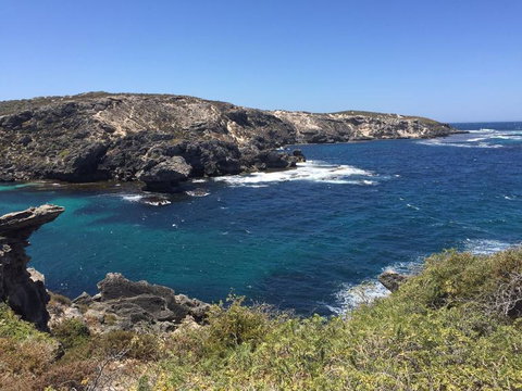 Rottnest Island Tour From Perth Or Fremantle Including Bus Tour - Attractions Perth 3