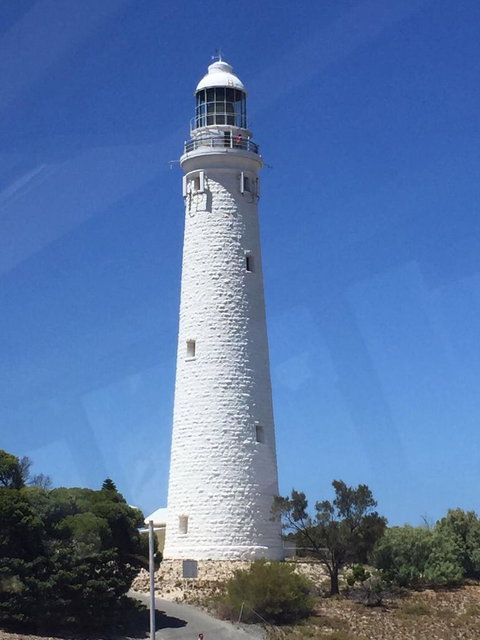 Rottnest Island Tour From Perth Or Fremantle Including Bus Tour - Attractions Perth 2