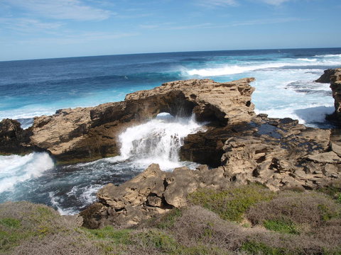 Rottnest Island Tour From Perth Or Fremantle Including Bus Tour - Attractions Perth 5