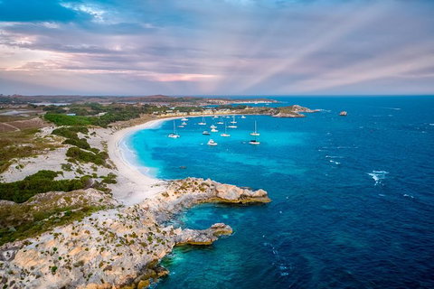 Rottnest Island Tour From Perth Or Fremantle Including Bus Tour - Attractions Perth 8