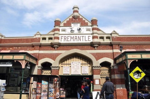Full-Day Penguin Island & Fremantle Town - Attractions Perth 1