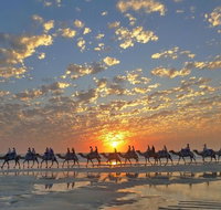 1 Hour Broome Sunset Camel Tour - Attractions Perth