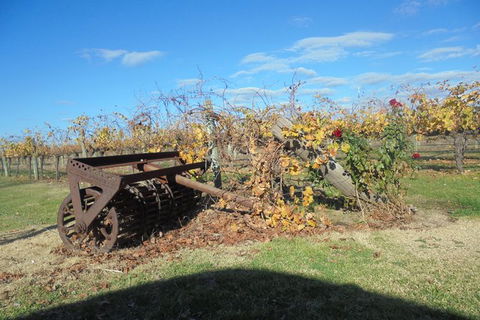 Swan Valley Tour From Perth: Wine, Beer And Chocolate Tastings - Attractions Perth 7