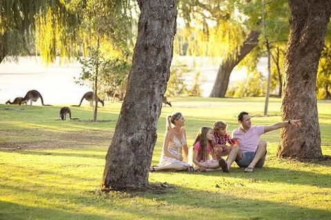 Pinnacles Sunset Dinner And Wildlife Experience A Small Group Tour - Attractions Perth 1