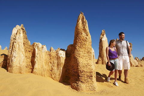 Pinnacles Sunset Dinner And Wildlife Experience A Small Group Tour - Attractions Perth 5